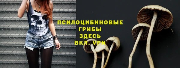 сатива Алзамай