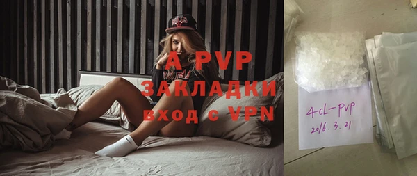 винт Аркадак